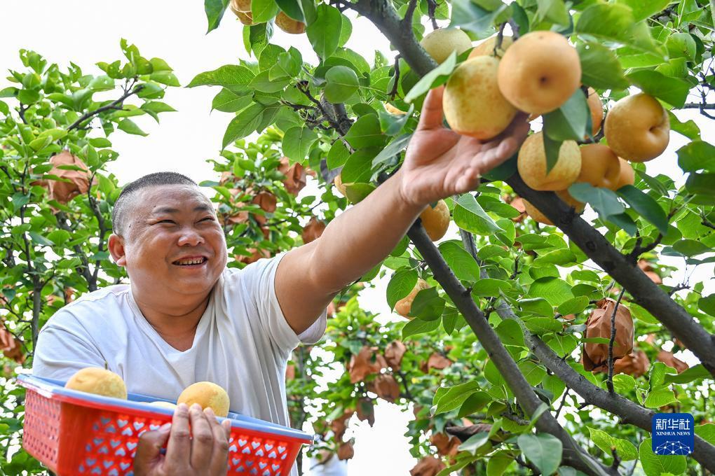 高进娱乐
